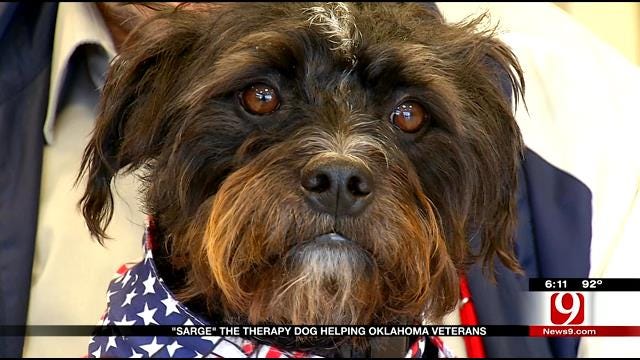 Prison-Trained Therapy Dog Helps Oklahoma Veterans