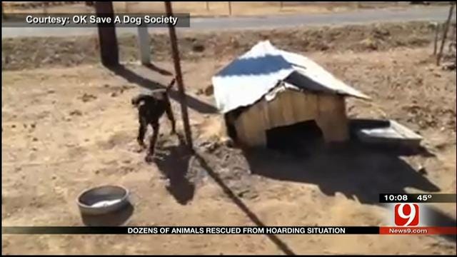 Animals Rescued From Hoarding Situation In Eastern Oklahoma