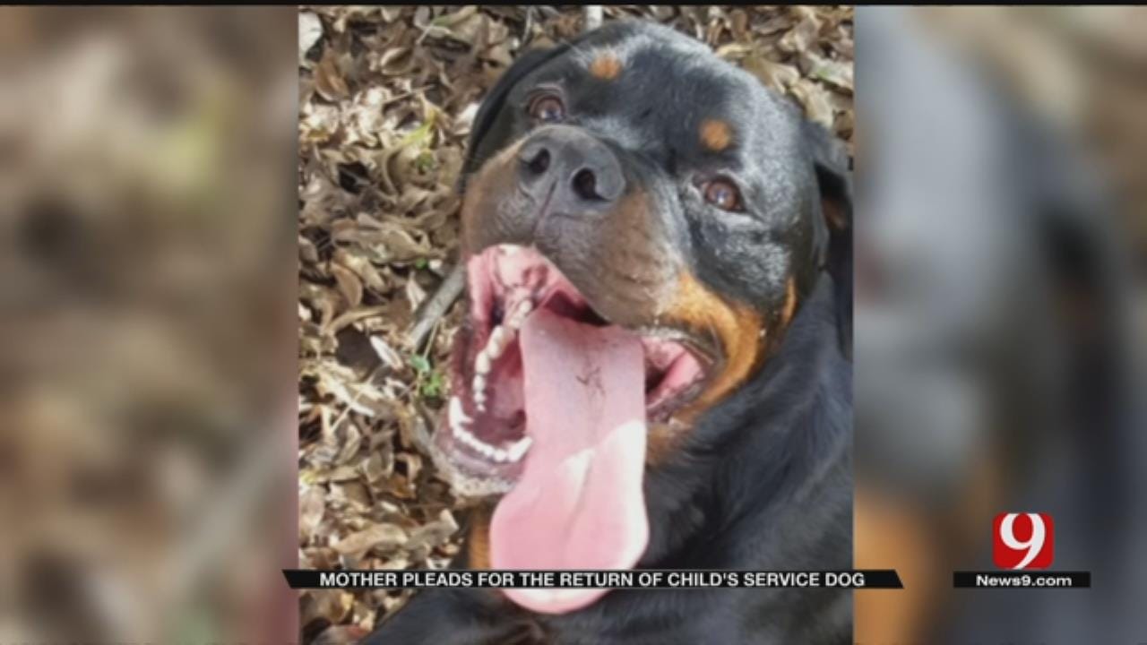 Boy’s Service Dog Goes Missing In Minco