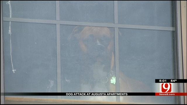 Woman Mauled By Dog At NW OKC Apartment Complex