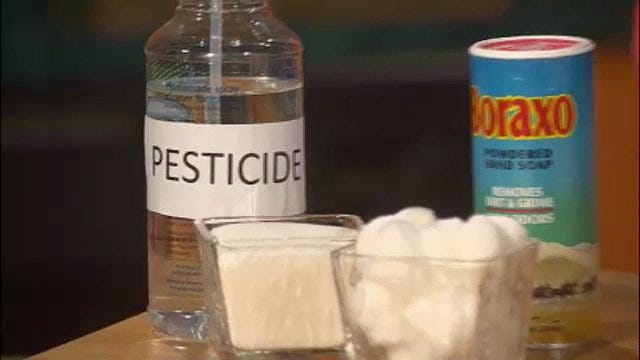 Homemade Pesticides