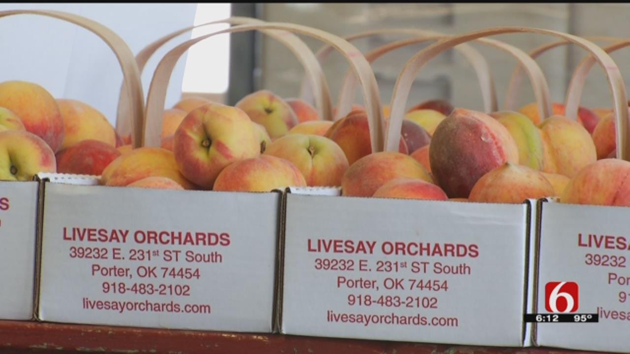 Peach Farmers Reminded Of Labor Laws Before Oklahoma Festivals