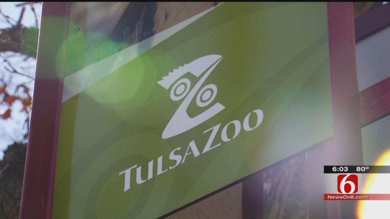 Tulsa Zoo Hopes To Expand Elephant Exhibit With Vision Tax Funds