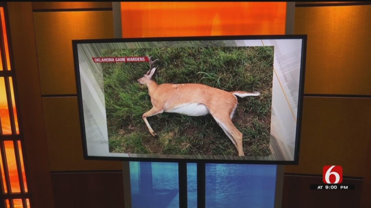 Oklahoma Game Wardens Looking For Deer Poacher