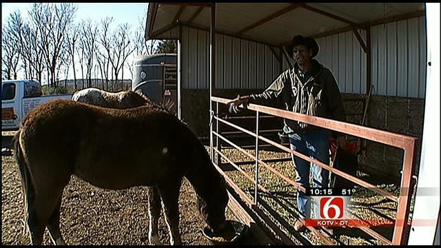 Oklahoma's Own: Catoosa Ranch Rescues Livestock
