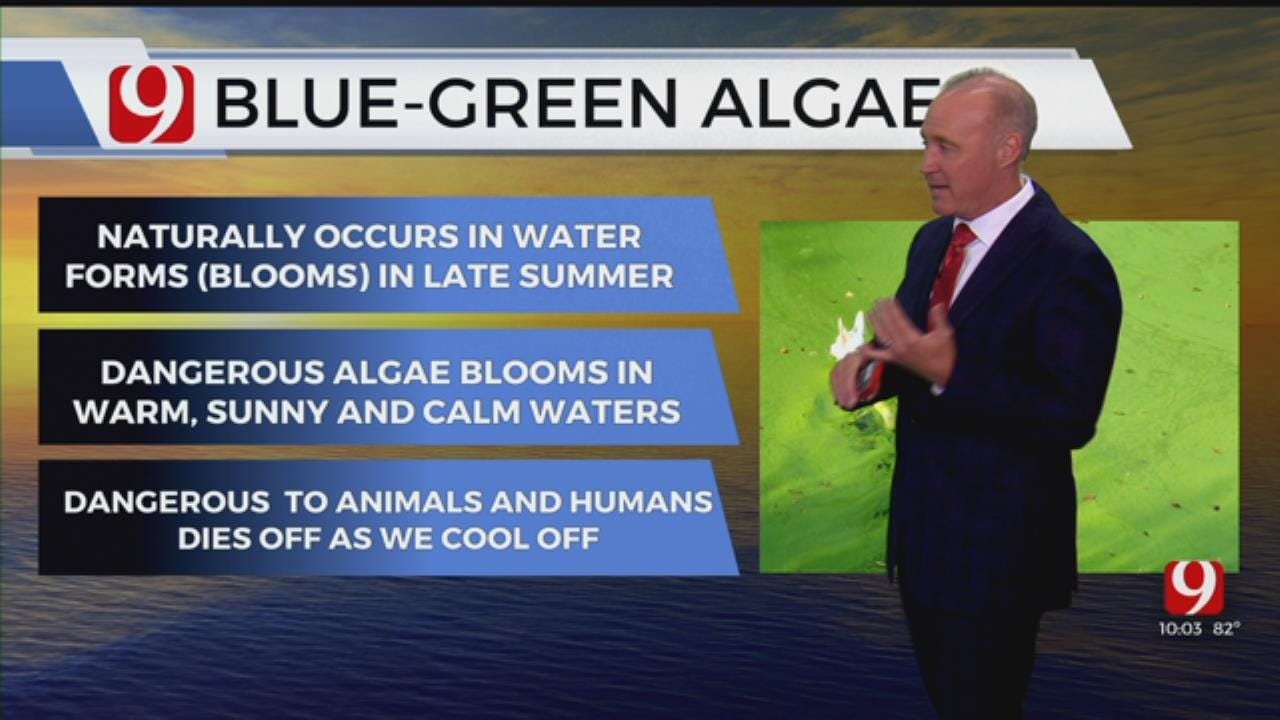 Edmond, Moore City Officials Warning Residents After Blue-Green Algae Found