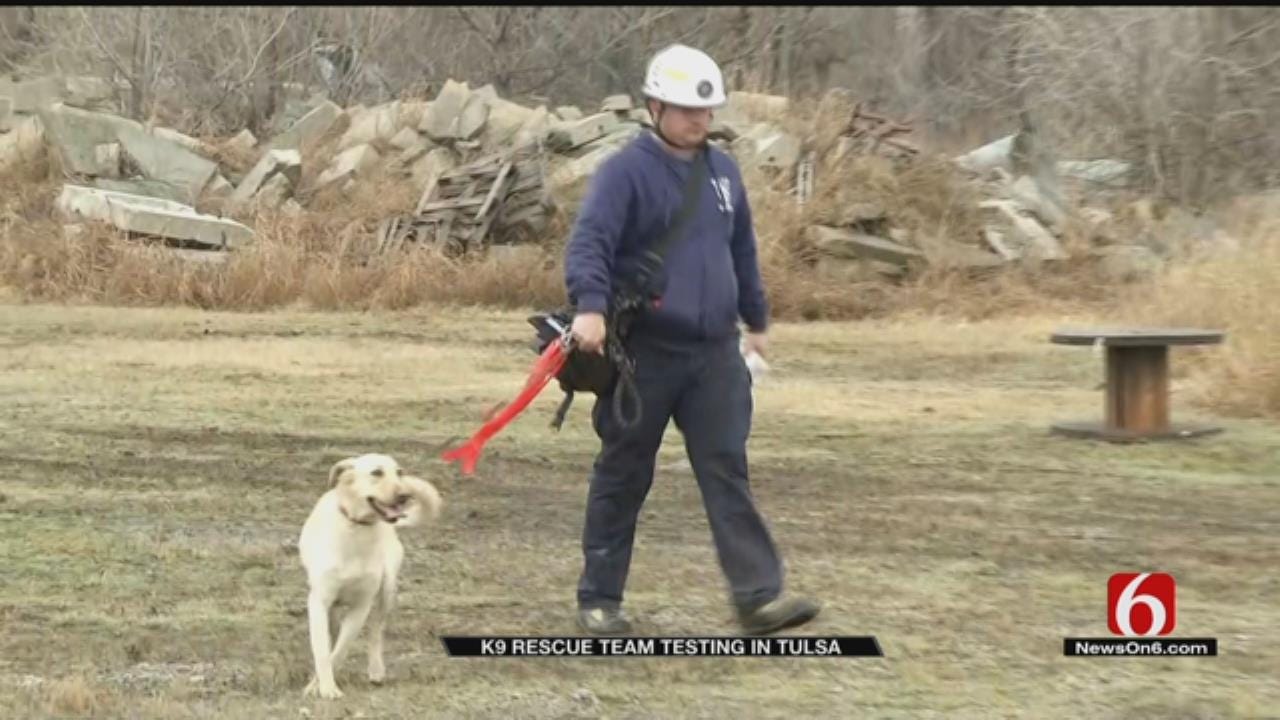 K-9 Teams In Tulsa To Qualify For Rescue Training