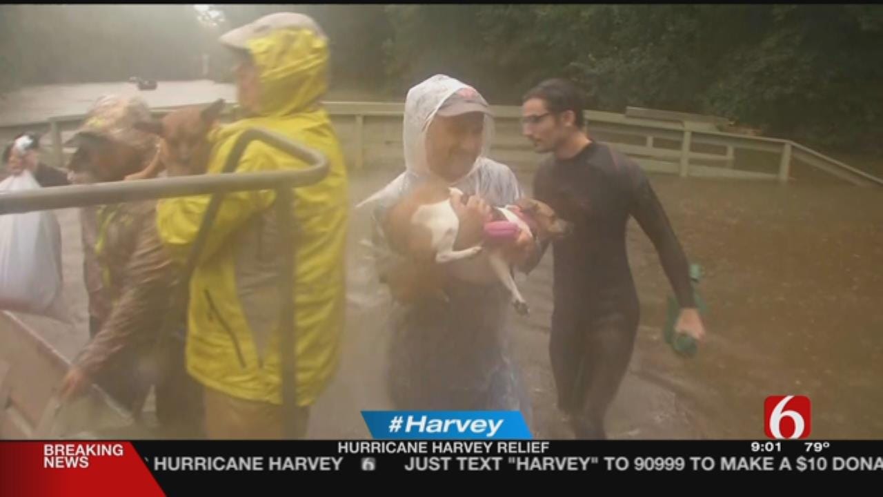 Harvey Relief Efforts Continue In Texas