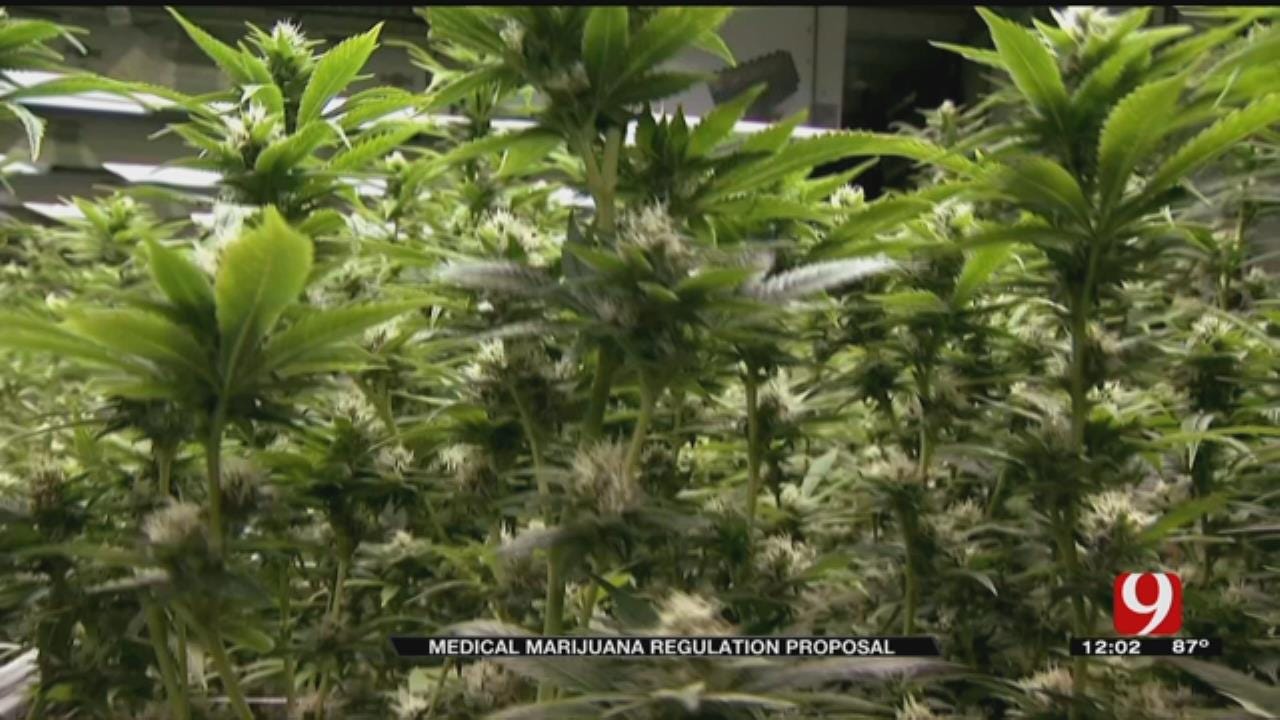 Pro-Marijuana Group Proposes Law Ahead Of Legislative Meeting