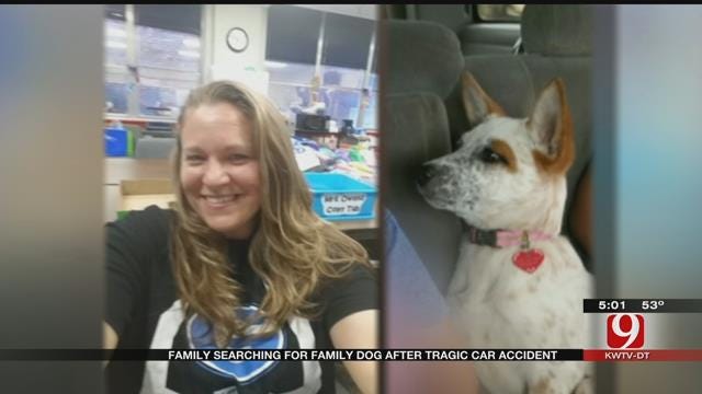 Guthrie Family Looks For Dog Lost Following Fatal Crash