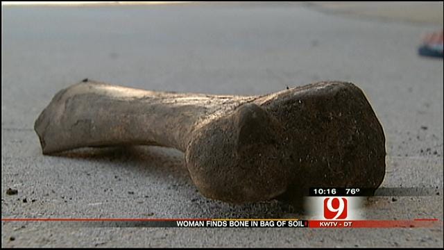 Yukon Police Investigate Mystery Bone Found In Bag Of Soil
