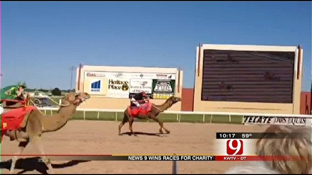News 9 Sweeps Ostrich, Camel Races At Remington Park