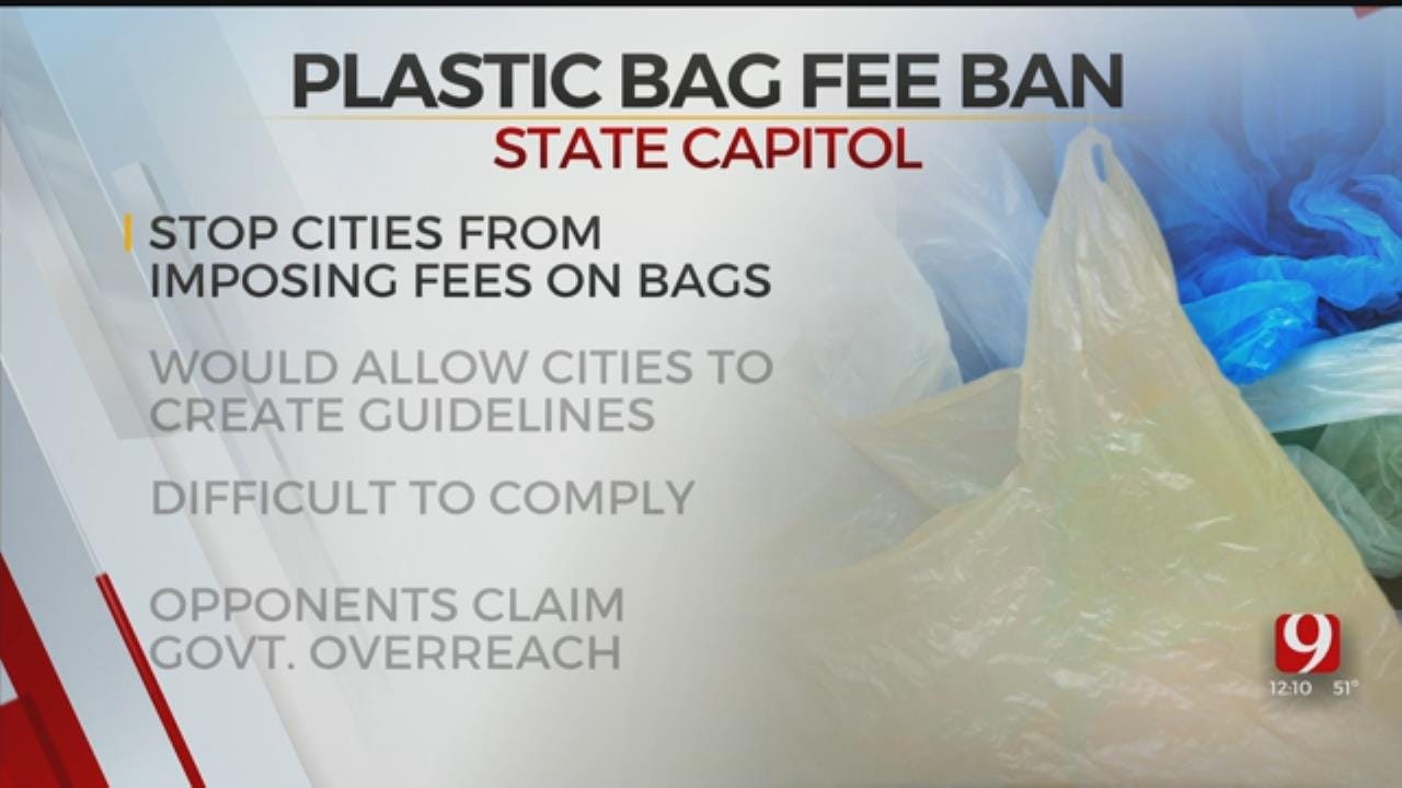 State Lawmakers Consider Bill To Stop Towns From Fees, Bans On Plastic Bags