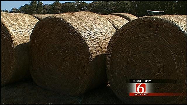 Oklahoma Ranchers, Hay Producers Help Creek County Fire Victims