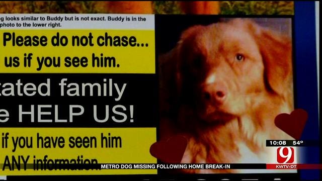 OKC Man Searches For Lost Dog After Home Is Burglarized