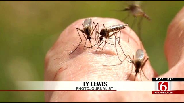 Tulsa Health Department Begins Mosquito Surveillance Program