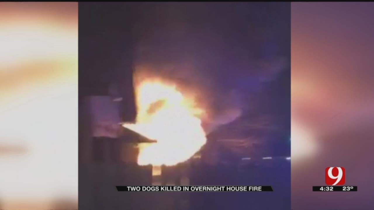 2 Dogs Killed In Overnight Edmond House Fire