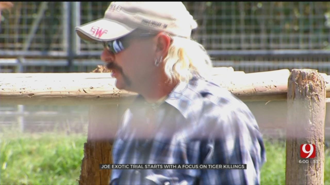 Joe Exotic Trial Begins, Focuses On Tiger Killings At Wynnewood Animal Park