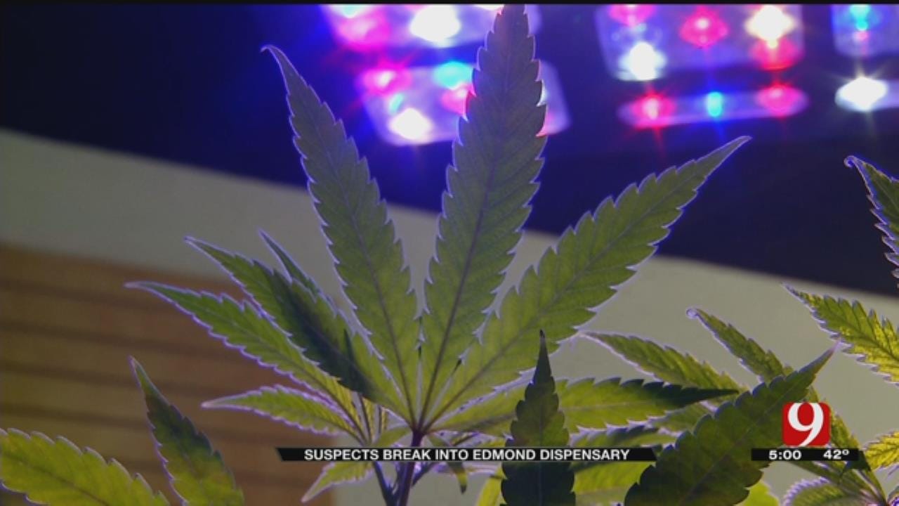 Police Investigating After Edmond Medical Marijuana Dispensary Burglarized