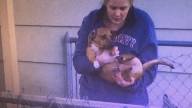 WEB EXTRA: Tulsa Firefighters Rescue Dachshund Caught In Fence