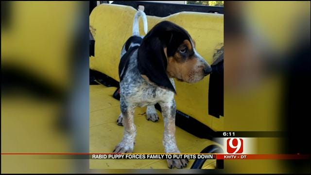 Ada Family Buys Rabid Puppy, Fears Others Were Exposed