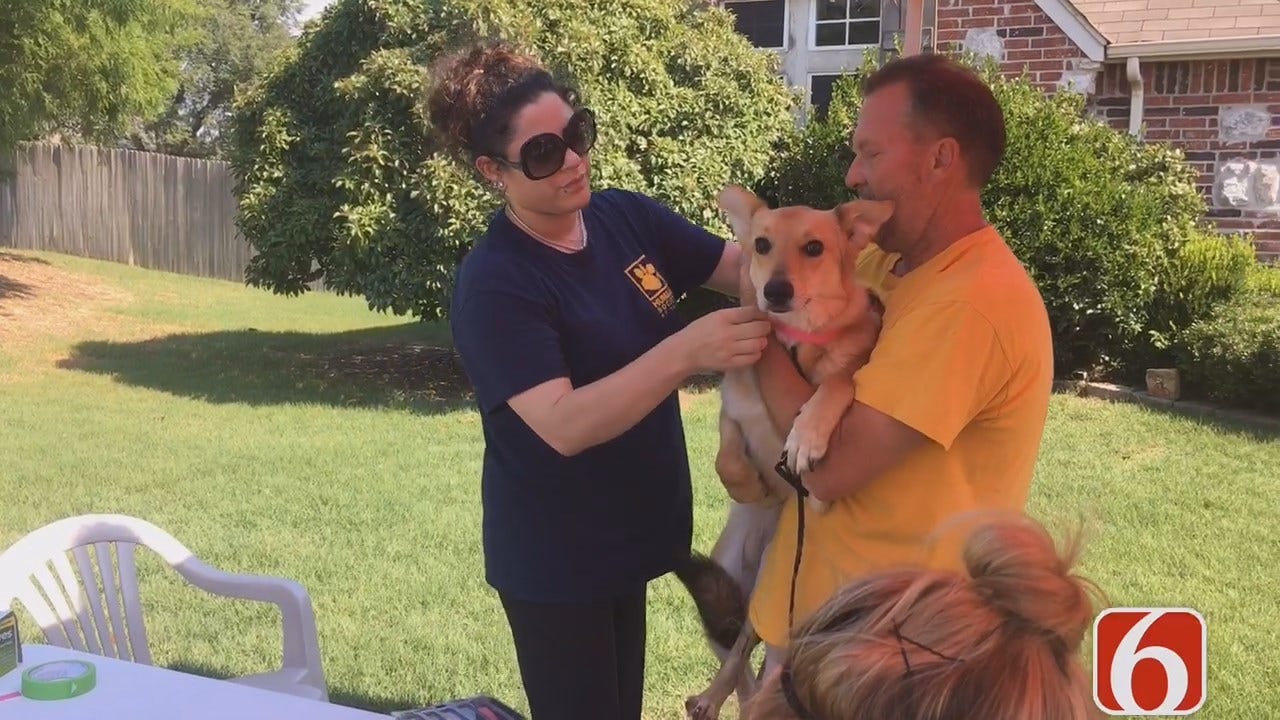 Tess Maune Goes On Dog Rescue Mission With Tulsa Humane Society