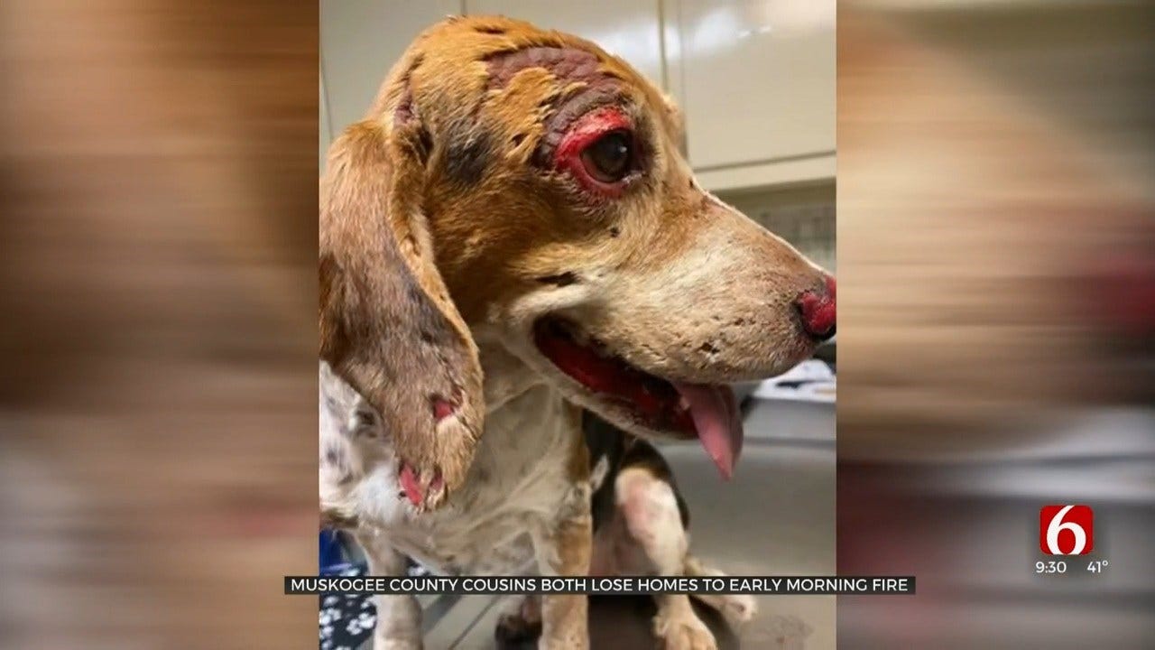 Muskogee Co. Fire Destroys Man's Home, Leaves Dog Severely Burned