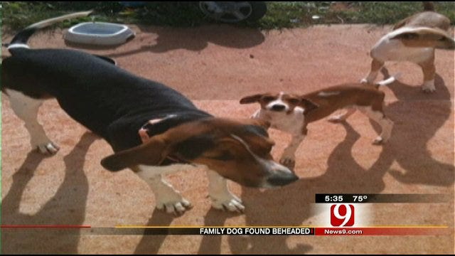 Grady County Family Says Their Dog Was Beheaded