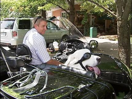 Tulsa Motorcyclist Takes Fred The Dog Along For The Ride