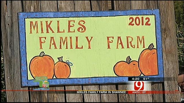 Road Trip Oklahoma: Mikles Family Farm