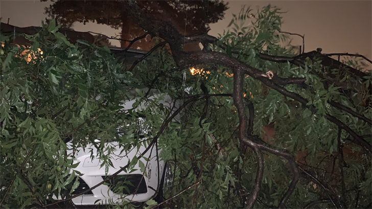WATCH: Severe Weather Leaves Behind Damage, Power Outages In Del City