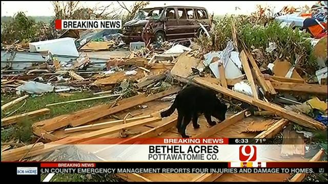 Debris, Lost Dogs At Devastated Mobile Home Park