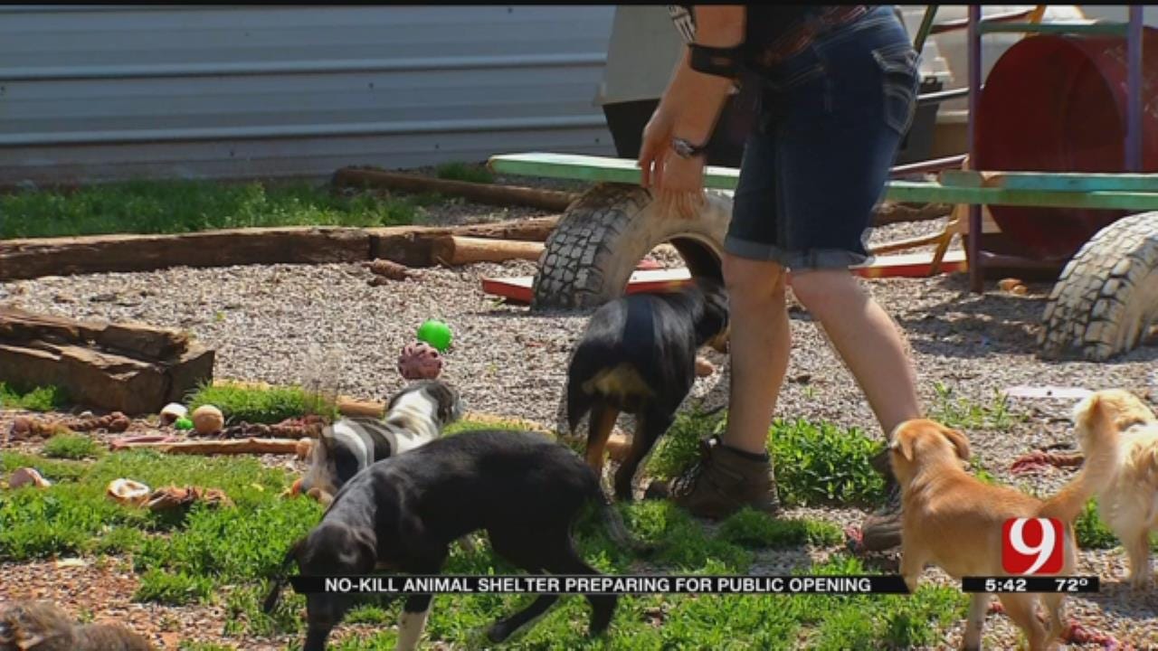 No-Kill Animal Shelter Expanding In Guthrie