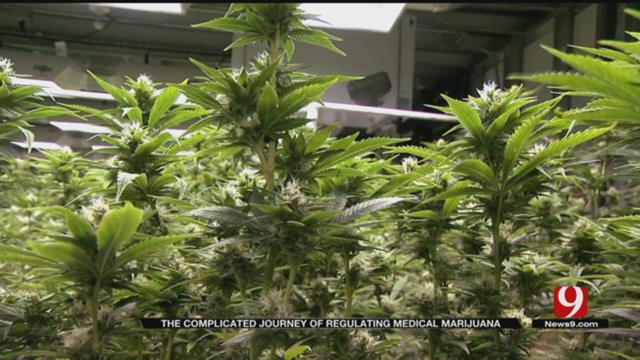 Medical Marijuana Could Bring Great Benefits, Challenges For Oklahoma