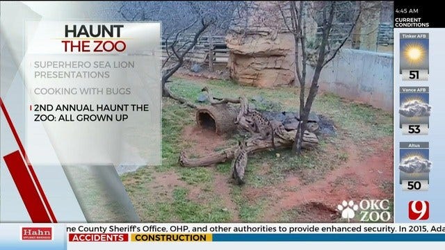 Oklahoma City Zoo Kicks Off Haunt The Zoo Event