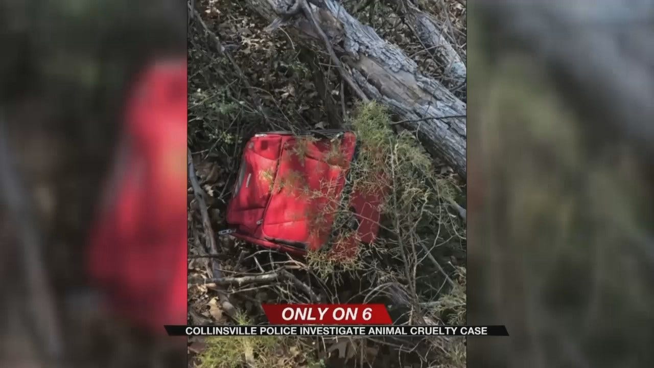 Dead Puppy Found In Suitcase Near Collinsville City Lake