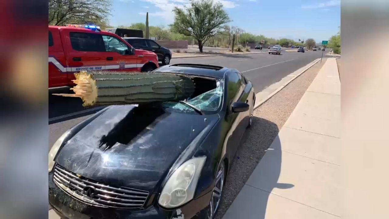 CLOSE CALL: Driver Escapes Injury When Cactus Pierces Windshield