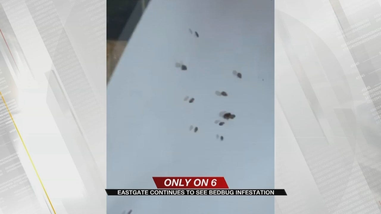 Bedbugs Discovered Again Inside Eastgate Metroplex