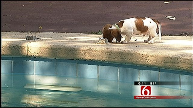 Tulsa Man Saves Wife's New Puppy From Drowning