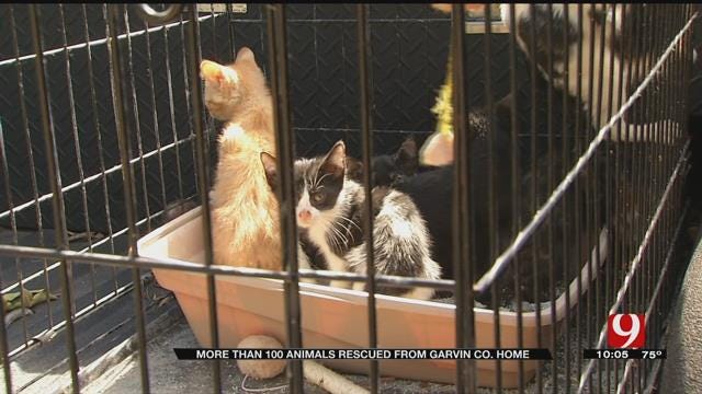 More Than 100 Animals Rescued From Garvin Co. Home