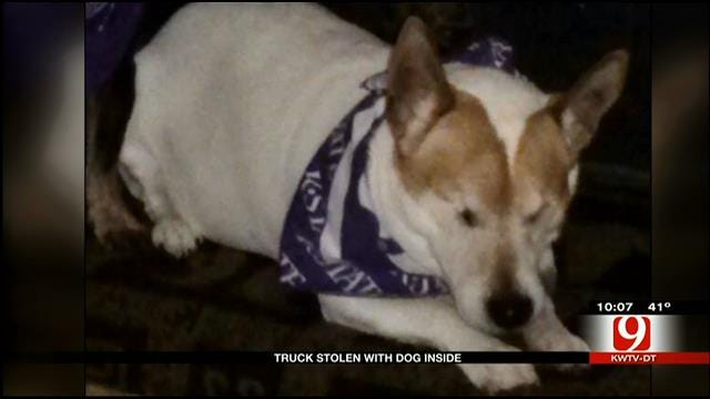 Kansas Family Finds Lost, Blind Dog In Norman Thanks To Facebook