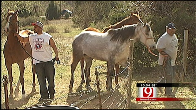 Family Works To Save Livestock, Home From Fire
