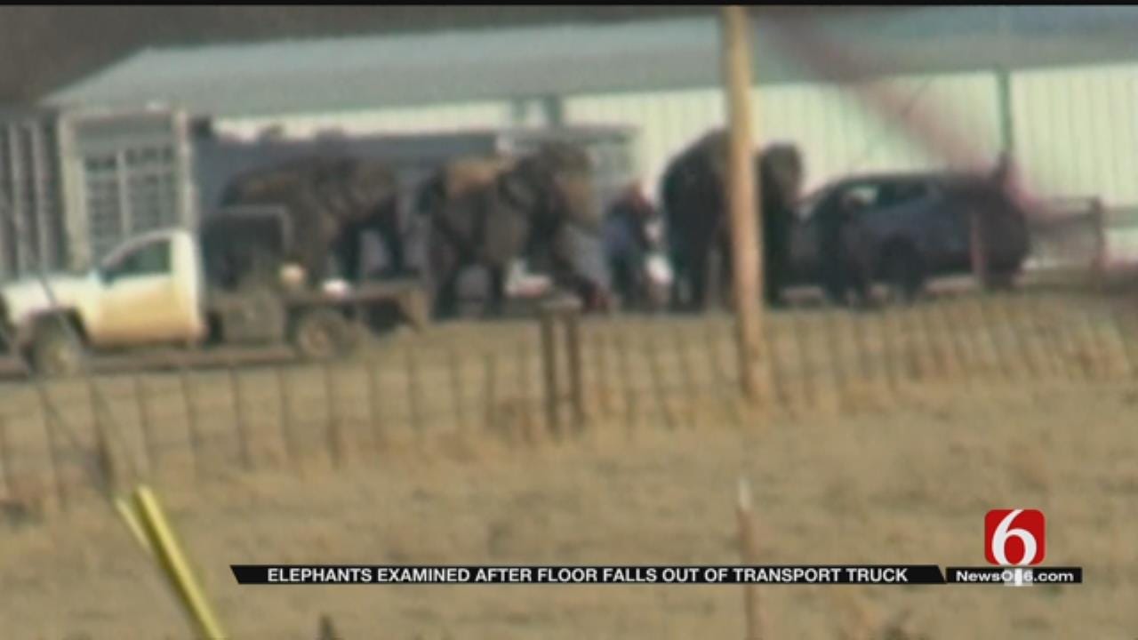 Elephant Transport Stalls Outside Eufaula