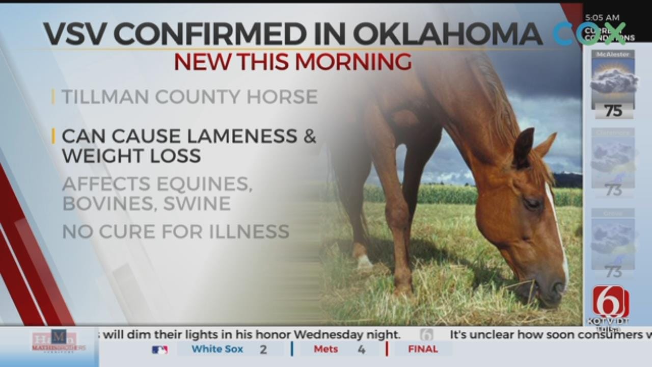 Rabies-Like Virus Confirmed in Oklahoma Horse