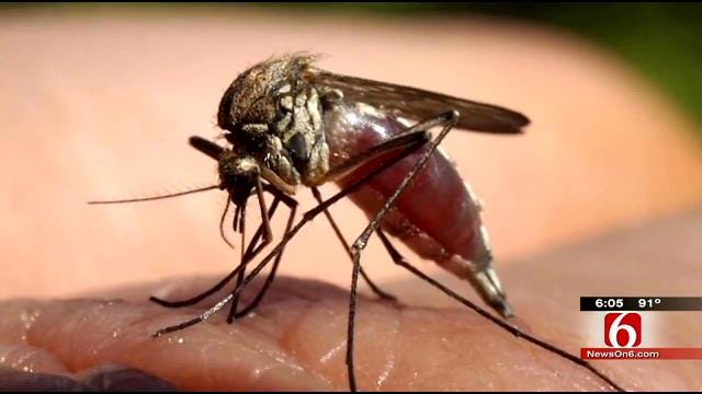 Tulsa Health Department Says Mosquito Surveillance Program Is Working