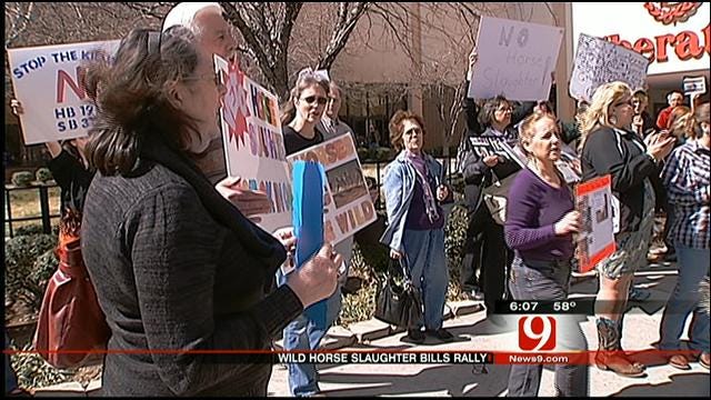 Horse Advocates Rally Against Horse Slaughtering Plan In Oklahoma