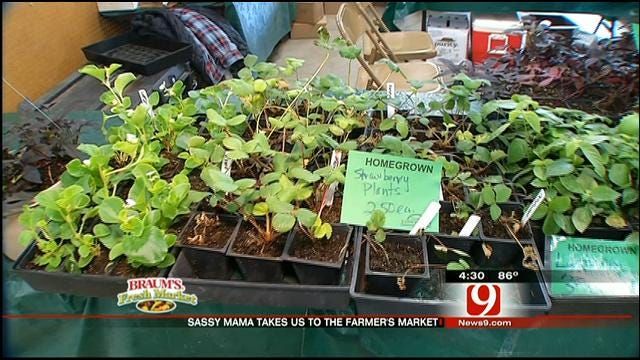 The Sassy Mama Visits An Oklahoma Farmers' Market