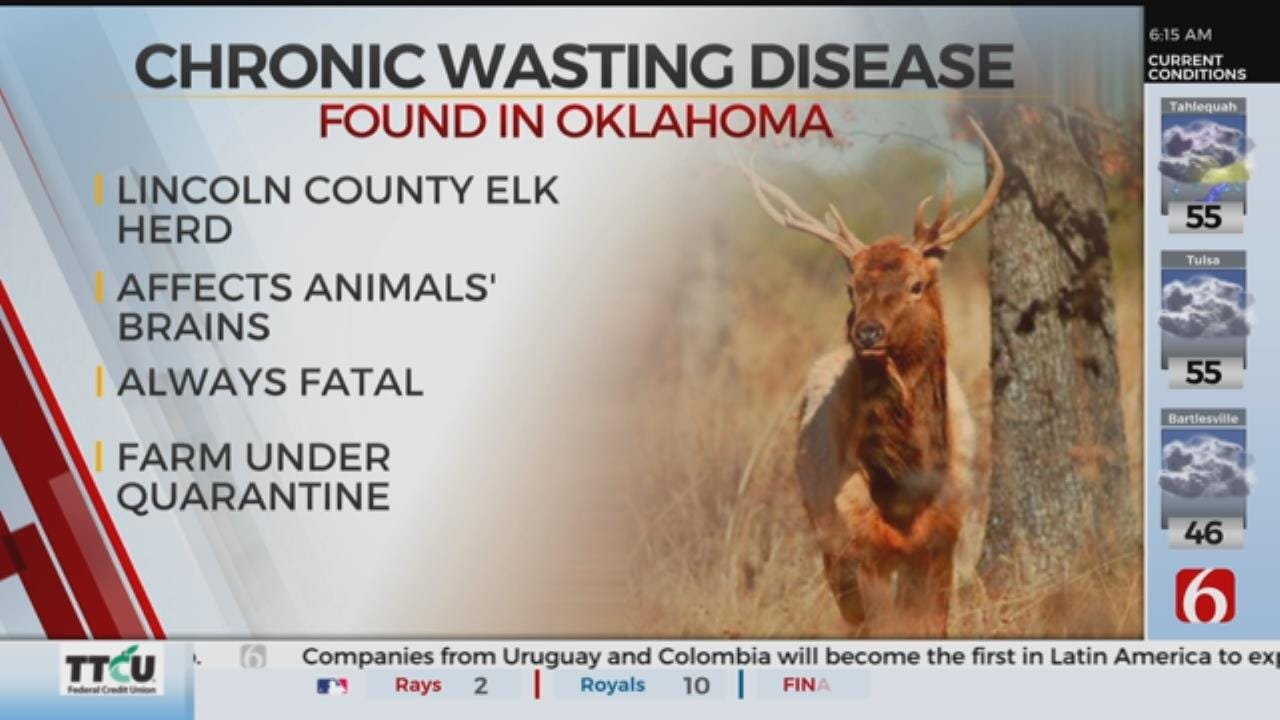 Chronic Wasting Disease Case Confirmed Farmed Oklahoma Elk