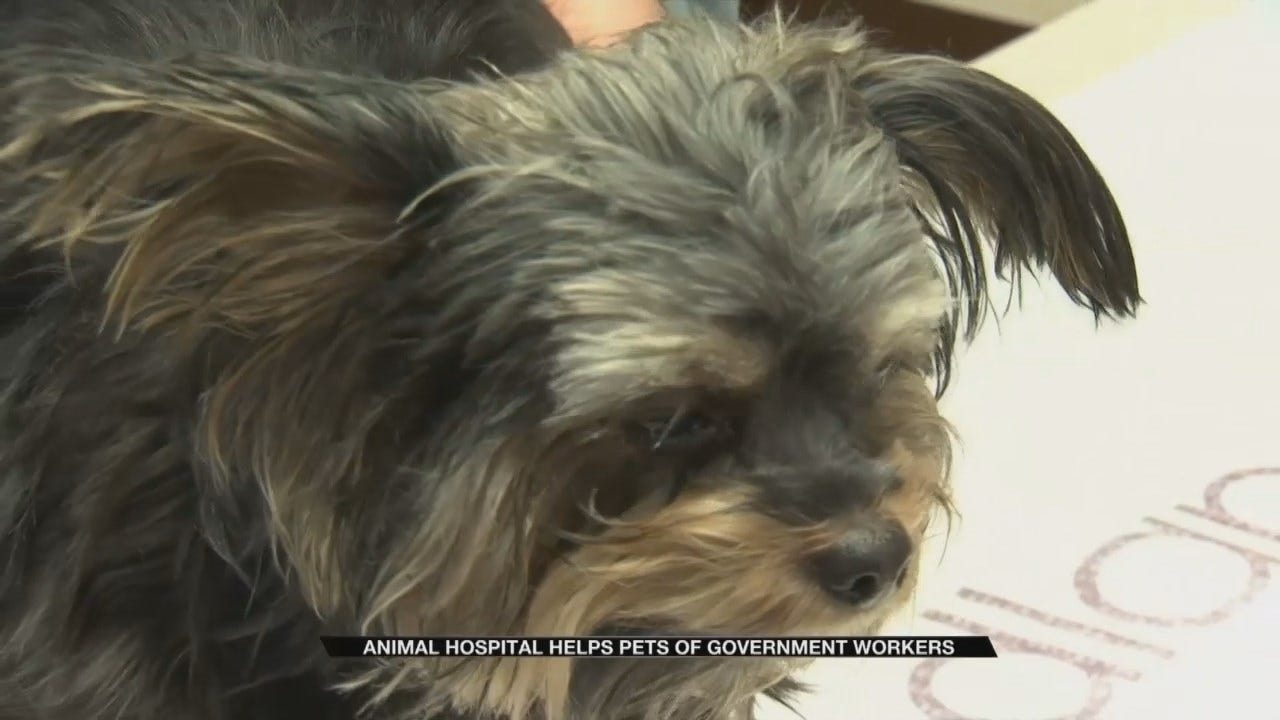 Tulsa Veterinary Hospital Offers Help To Workers Affected By Shutdown
