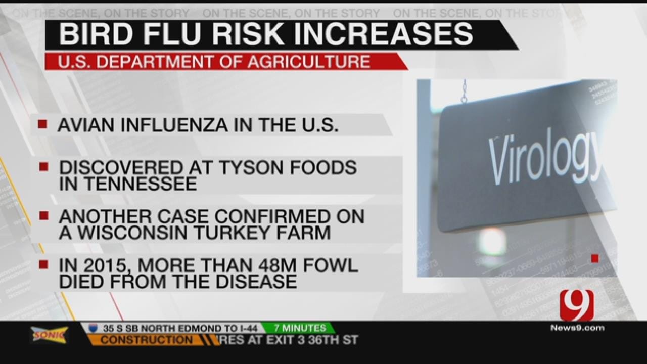 State Ag Department Warns Of Lurking Bird Flu